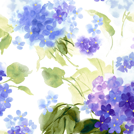 HYDRANGEA BLOSSOMS       